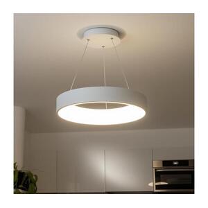 Brilagi - LED fényerőszabályozható kábeles függeszték FALCON LED/80W/230V 3000-6500K + távirányítóval BRKL02R-80W/LED-BI kép