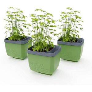Gusta Garden HERBS BUDDY önöntözős, zöld, 3 darab kép