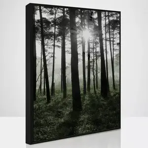 Kép SB50x70.093L18.37.001 kép