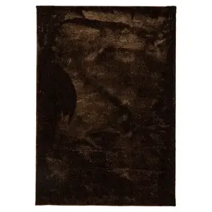 Szőnyeg Shaggy Microfiber RS-BSR 0, 6/1, 0 barna kép