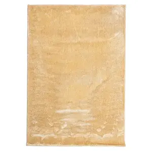 Szőnyeg Shaggy Microfiber RS-BSR 0, 6/1, 0 bézs kép