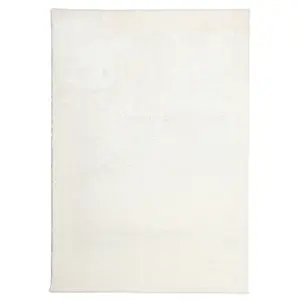 Szőnyeg Shaggy Microfiber RS-BSR 0, 6/1, 0 krém kép