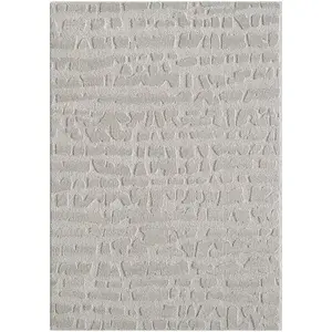 Szőnyeg Alba 1, 6/2, 3 FR2522 szürke kép