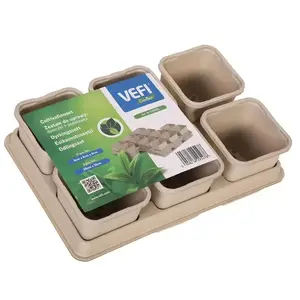 Virágcserép 8 cm kép