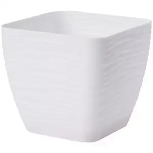 Sahara Petit 13 cm fehér kép
