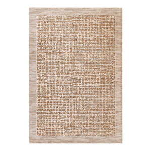 Bézs szőnyeg 120x160 cm Anders Beige Natural – Asiatic Carpets kép