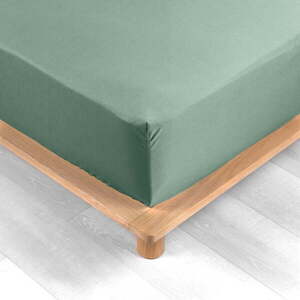 Zöld gumis pamut-perkál lepedő 90x190 cm Percaline – douceur d'intérieur kép