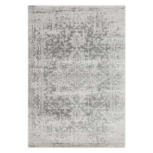 Szürke szőnyeg 80x150 cm Nova – Asiatic Carpets kép