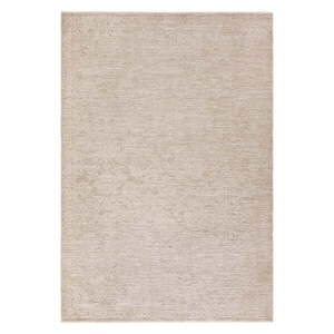 Bézs szőnyeg 160x240 cm Laurent Beige Natural – Asiatic Carpets kép