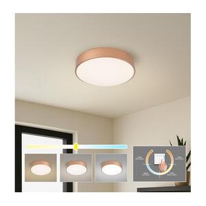 BRILAGI - LED mennyezeti lámpa POOL LED/36W/230V 3000/4000/6000K átmérő 30 cm bronz BRI1015 kép