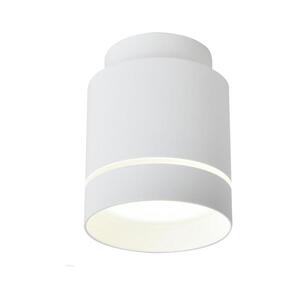 LED Mennyezeti lámpa TUBA LED/12W/230V 2275918 kép