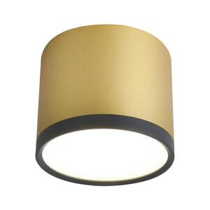 LED Mennyezeti lámpa TUBA LED/9W/230V kép