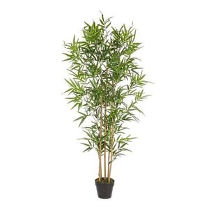 Bambusz műnövény (magasság 155 cm) Bamboo – Bizzotto kép