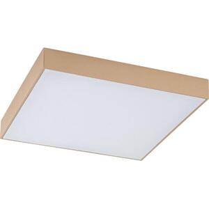 Rabalux 77000 - LED fürdőszobai mennyezeti lámpa TARTU 24W/230V 2800/4000/6000K IP44 77000 kép