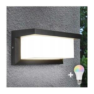 LED RGBW dimmelhető kültéri fali lámpatest NEELY 1xE27/12W/230V IP54 antracit BW0296+AI0819 kép