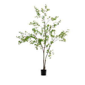 Műnövény (magasság 214 cm) Enkianthus – Kave Home kép