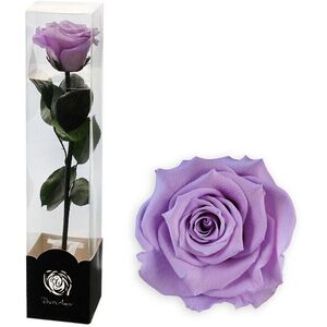 Altx tartósított rózsa száron, 30cm, lila kép