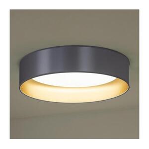 - LED Mennyezeti lámpa ROLLER LED/24W/230V átm. 45 cm ezüst/arany 605311 kép