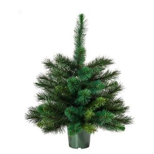 TREE OF THE MONTH műfenyő, 60 cm kép