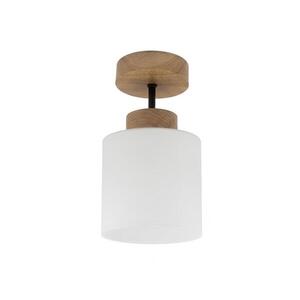 BRILAGI - LED felületre szerelhető csillár RETRO GLASS 1xE27/60W/230V Ø 10 cm tölgy/fehér BG3986+NSTK7006 kép