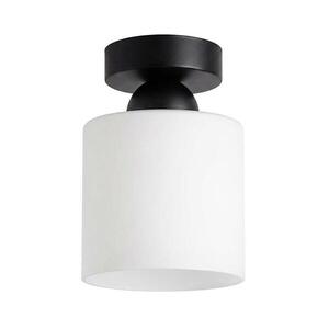BRILAGI - LED mennyezeti lámpa RETRO GLASS 1xE27/60W/230V átm. 10 cm fekete/fehér BG3988+NSTK7006 kép