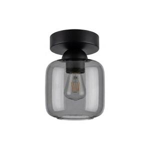 BRILAGI - LED mennyezeti lámpa R GLASS 1xE27/60W/230V átm. 14 cm fekete/füstszürke BG3988+NSTK7758 kép