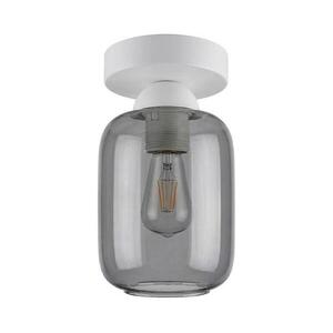 BRILAGI - LED mennyezeti lámpa R GLASS 1xE27/60W/230V átm. 14 cm fehér/füstszürke BG3991+NSTK7757 kép
