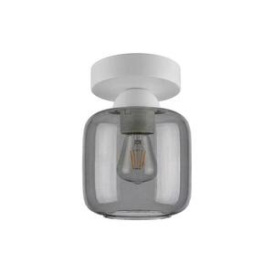 BRILAGI - LED mennyezeti lámpa R GLASS 1xE27/60W/230V Ø 14 cm fehér/füstszürke BG3991+NSTK7758 kép