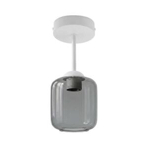 BRILAGI - LED felületre szerelhető csillár R GLASS 1xE27/60W/230V átm. 14 cm fehér/füstszürke BG3992+NSTK7758 kép