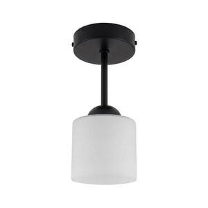 BRILAGI - LED felületre szerelhető csillár RETRO GLASS 1xE27/60W/230V átm. 10 cm fekete/fehér BG3989+NSTK7006 kép