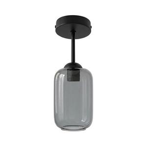 BRILAGI - LED felületre szerelt csillár R GLASS 1xE27/60W/230V átm. 14 cm fekete/füstszürke BG3989+NSTK7757 kép