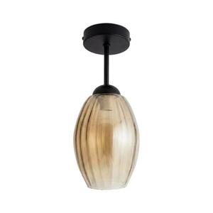 BRILAGI - LED Felületre szerelhető csillár R GLASS 1xE27/60W/230V átm. 17 cm fekete/füstös bézs BG3989+NSTK7499 kép