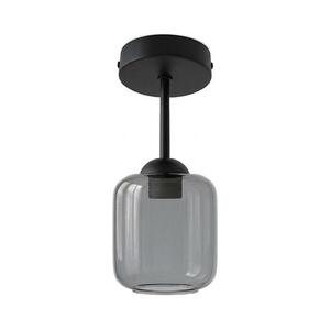 BRILAGI - LED felületre szerelhető csillár R GLASS 1xE27/60W/230V Ø 14 cm fekete/füstszürke BG3989+NSTK7758 kép