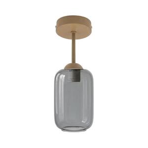 BRILAGI - LED felületre szerelhető csillár R GLASS 1xE27/60W/230V átm. 14 cm bézs/füstszürke BG3995+NSTK7757 kép