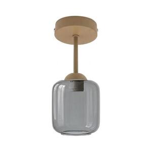 BRILAGI - LED felületre szerelhető csillár R GLASS 1xE27/60W/230V átmérő 14 cm bézs/füstszürke BG3995+NSTK7758 kép