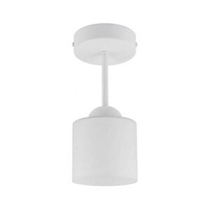 BRILAGI - LED felületre szerelhető csillár RETRO GLASS 1xE27/60W/230V átm. 10 cm fehér BG3992+NSTK7006 kép