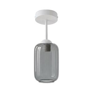 BRILAGI - LED felületre szerelhető csillár R GLASS 1xE27/60W/230V átm. 14 cm fehér/füstszürke BG3992+NSTK7757 kép