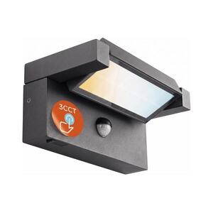 SmartLED LED kültéri fali lámpa érzékelővel LED/25W/230V IP54 fekete 5763 kép