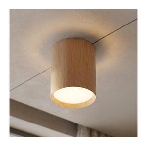 BRILAGI - Spotlámpa. SMOOTH LONG 1xGX53/15W/230V 60x82 mm 100x82 mm tölgy dekor WO-CD-GX53-M5404-WOOD-OEM kép
