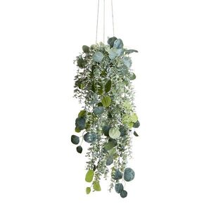 FLORISTA eukaliptusz mix felakasztható cserépben 65 cm kép
