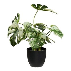 Művirág (magasság 41 cm) Monstera – House Nordic kép