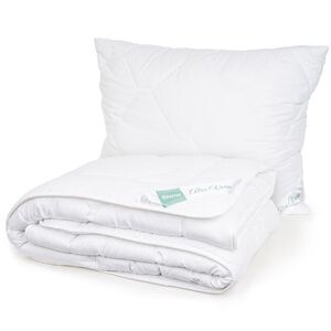 4Home Aloe Premium paplan és párnák szett, 140 x 220 cm, 70 x 90 cm kép