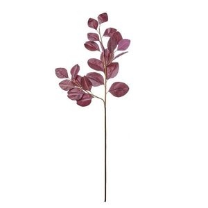 FLORISTA eukaliptusz 90 cm , lila kép