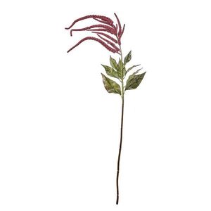 FLORISTA köles virág 110 cm , piros kép