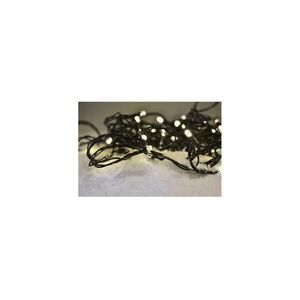 1V101-WW-LED Kültéri karácsonyi fényfüzér 100 LED/8 világítási mód IP44 13 m meleg fehér 1V101-WW kép