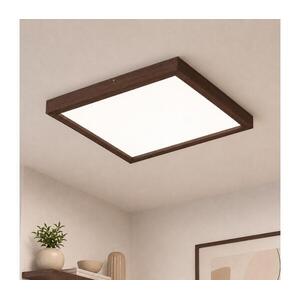 BRILAGI-LED Dimmelhető világítótest WOODY FRAME LED/50W/230V tölgy 60x60 cm IP44 + távirányító 8590828607298 kép