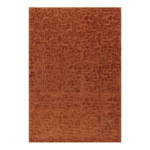 Terrakotta színű szőnyeg 200x290 cm – Asiatic Carpets kép