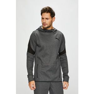 Puma - Felső kép