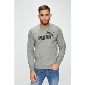 Puma - Felső kép