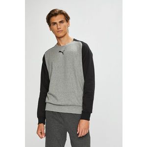 Puma - Felső kép